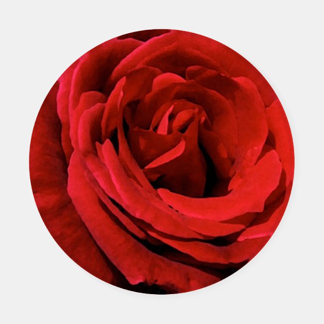 Red Rose Floral Coaster Set
