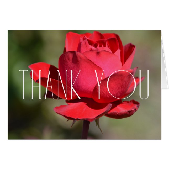 Red Rose Floral Thank You Cards (Front Horizontal)