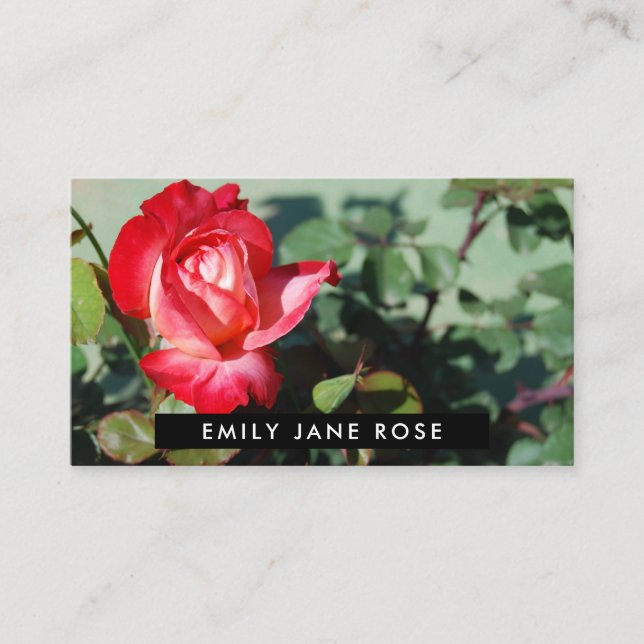 Red Rose, Floristry Business Card (Front)