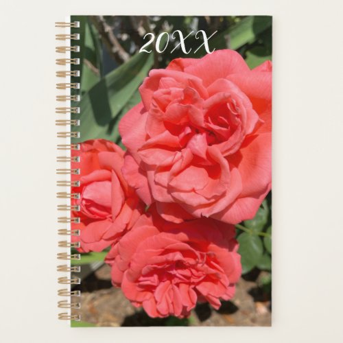 Red Rose Flower Cluster In Garden Photograph Planner