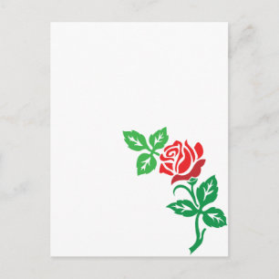 Red Rose Flower Design – Classic Floral Beauty Postcard