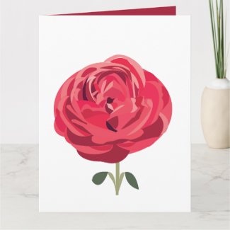 Red Rose Flower Floral Red Rose Greeting
