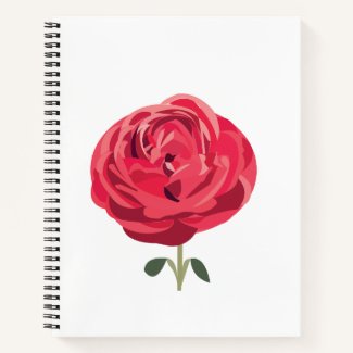 Red Rose Flower Floral Red Rose 
