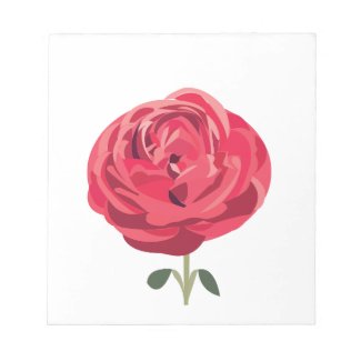 Red Rose Flower Floral Red Rose 