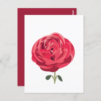 Red Rose Flower Floral Red Rose