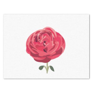 Red Rose Flower Floral Red Rose