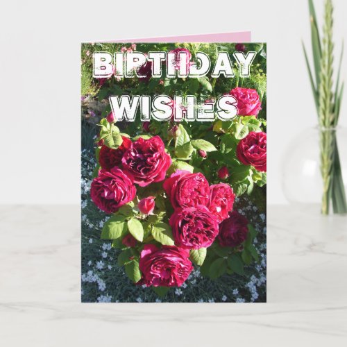 Red Rose Flower Garden floral  Happy Birthday Card