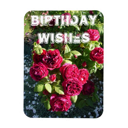 Red Rose Flower Garden floral Happy Birthday Magnet