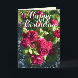 Red Rose Flower Garden floral Roses Birthday Card<br><div class="desc">Red Rose Flower Garden floral flowers Happy Birthday Card. Designed from one of my original flower garden photographs & my original writing,  enjoy!</div>