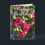 Red Rose Flower Garden floral Roses Birthday Card<br><div class="desc">Red Rose Flower Garden floral flowers Happy Birthday Card. Designed from one of my original flower garden photographs & my original writing,  enjoy!</div>