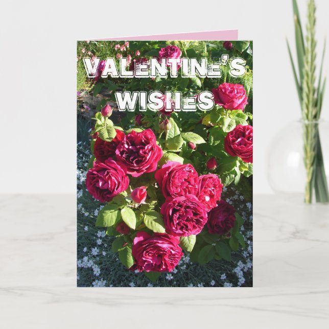 Red Rose Flower Garden floral Valentines Day Card (Front)