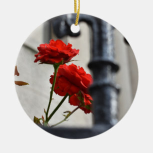 Red Rose Flower Garden Gate New York Photography Ceramic Ornament