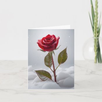 Red Rose Flower Growing Through Snow Card by sirylok at Zazzle