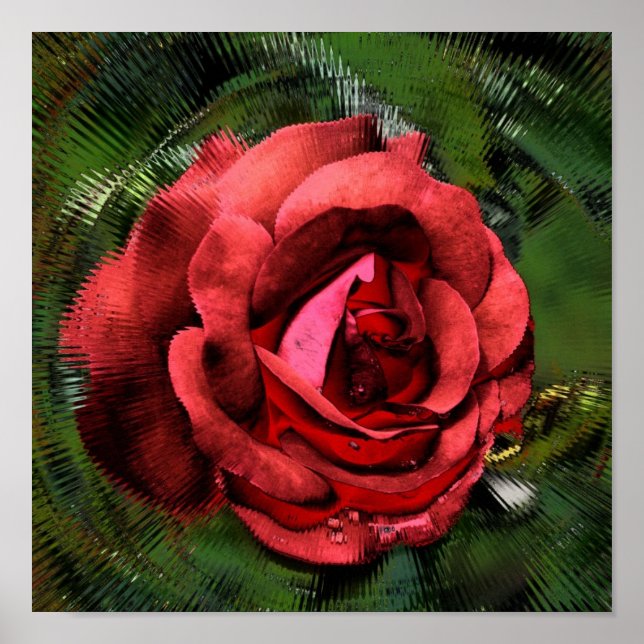 Red Rose Flower In Bloom Abstract Art Poster (Front)