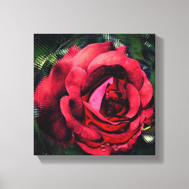 Red Rose Flower In Bloom Abstract Canvas Print (Front)