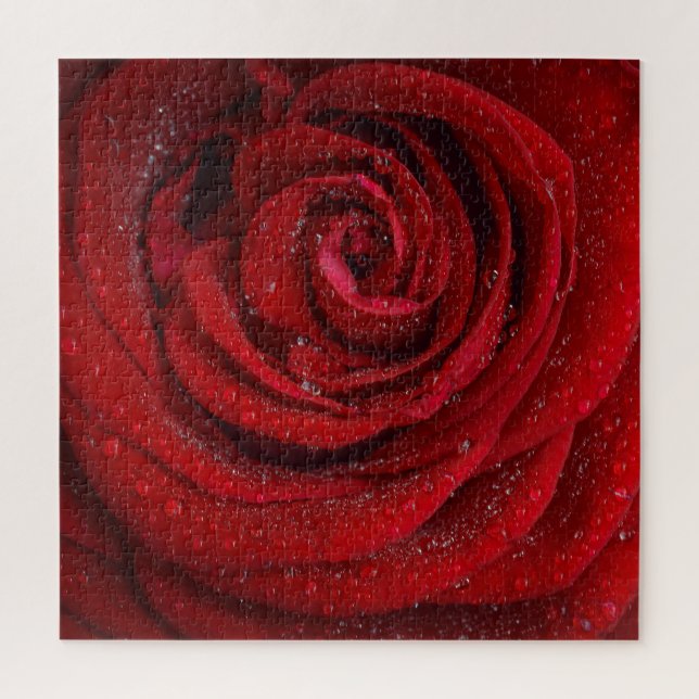 Red Rose Flower Jigsaw Puzzle (Vertical)