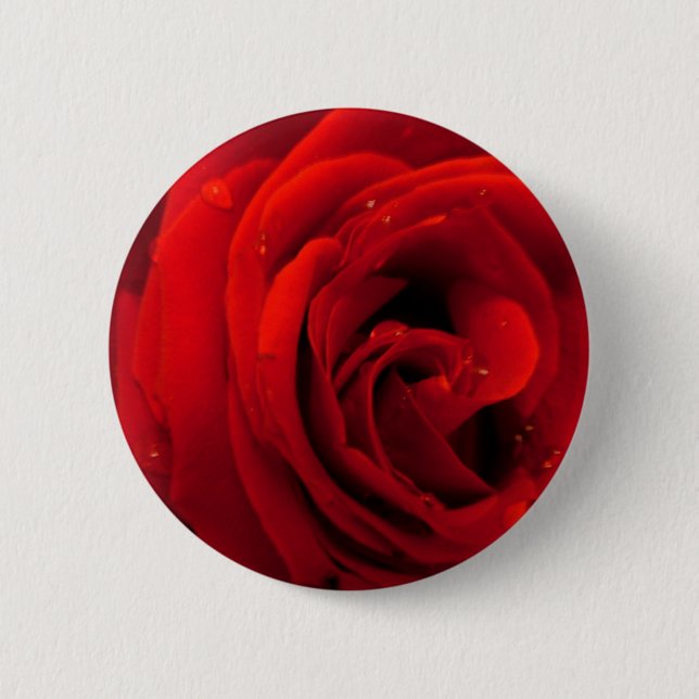 Red rose flower pinback button (Front)