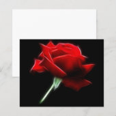 Red Rose Flower Plant (Front/Back)