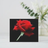 Red Rose Flower Plant (Standing Front)