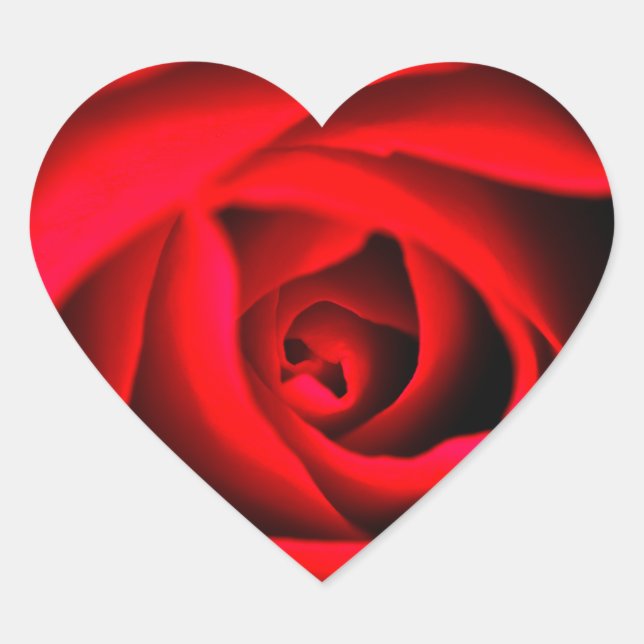 Red rose flower Sticker (Front)