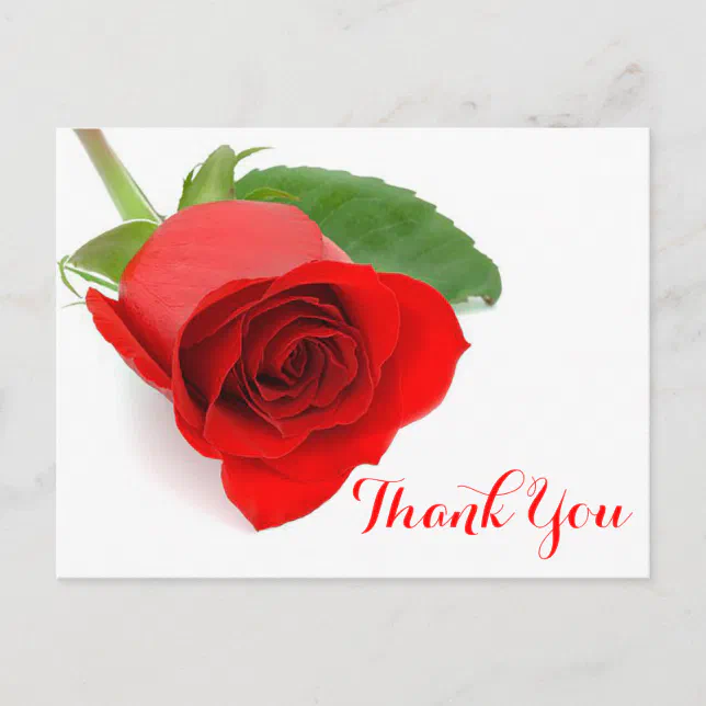 Red Rose Flower Thank You Floral Postcard | Zazzle