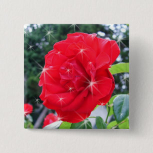 red  rose flower with stars pinback button