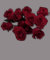 Red Rose Flowers Garden T-shirt