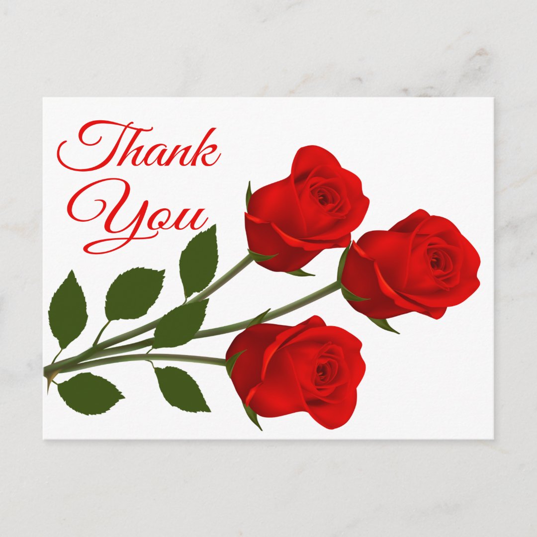 Red Rose Flowers Thank You Floral Postcard | Zazzle