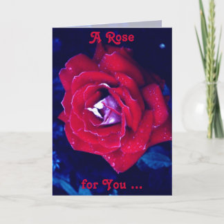 Red Rose For You Card
