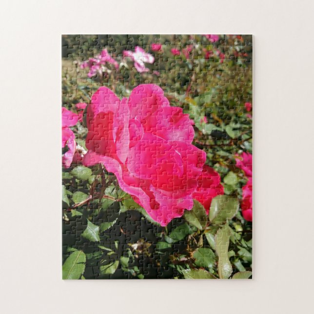 Red rose garden flower jigsaw puzzle (Vertical)