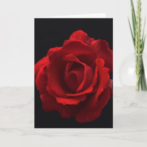 Red Rose gccn Card