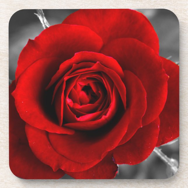 Red Rose Gothic Coasters (Front)