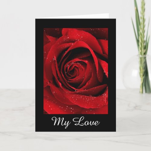 Red Rose Greeting Card