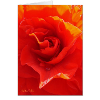 Red Rose Heart - notelet / card
