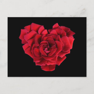Red Rose Heart Postcard