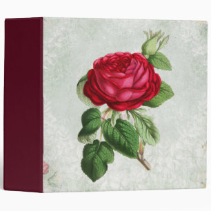 Red Rose Illustration on Faux Vintage Parchment 3 Ring Binder