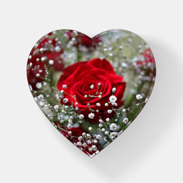 Red Rose in Baby's Breath Paperweight (Front)