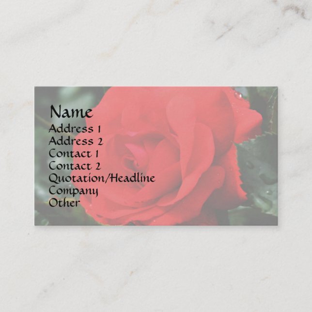 Red Rose In Bloom Floral Business Card (Front)
