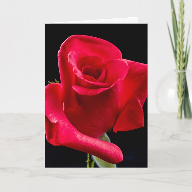 RED ROSE IN SYMPATHY GREETING CARD (Front)