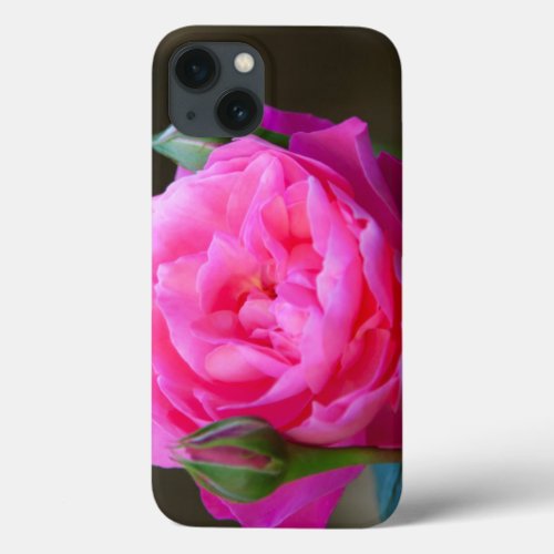 Red Rose In The Garden Of Hotel Carnavalet iPhone 13 Case
