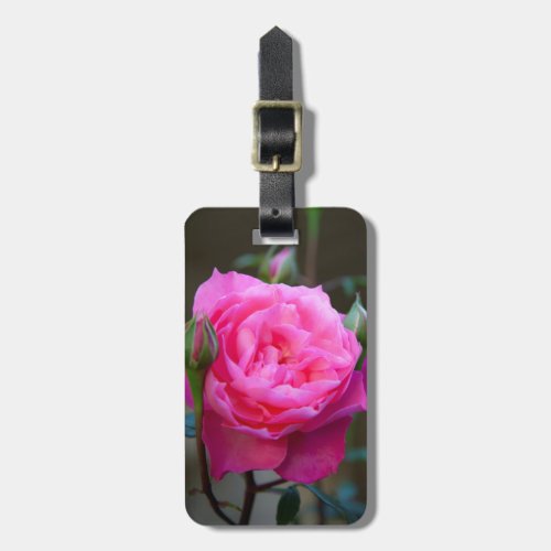 Red Rose In The Garden Of Hotel Carnavalet Luggage Tag