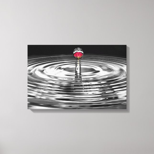 red rose in water droplet canvas print (Front)