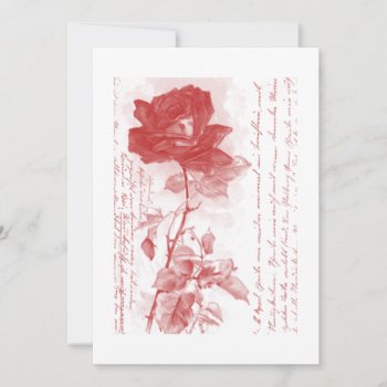 Red Rose Invitation by Visages at Zazzle