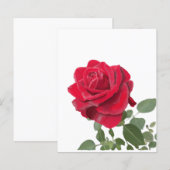 Red Rose Invitation - symbol of love (Front/Back)