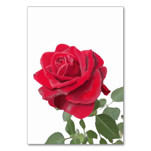 Red Rose Invitation _ symbol of love Table Number