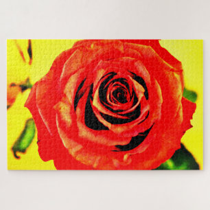 Red Rose Jigsaw Puzzle