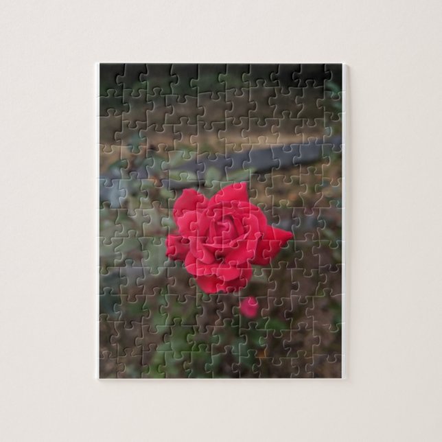 Red Rose Jigsaw Puzzle (Vertical)