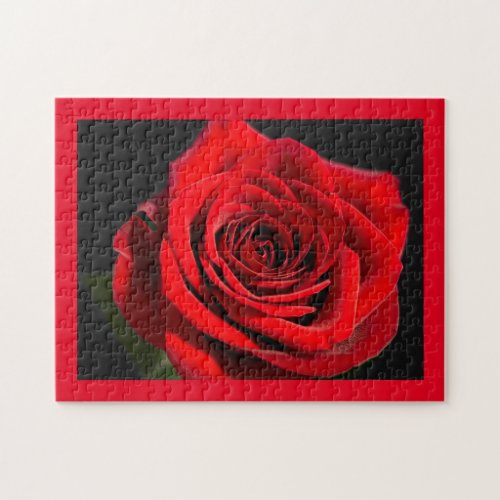 Red rose jigsaw puzzle