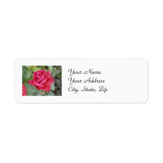 Red Rose Label