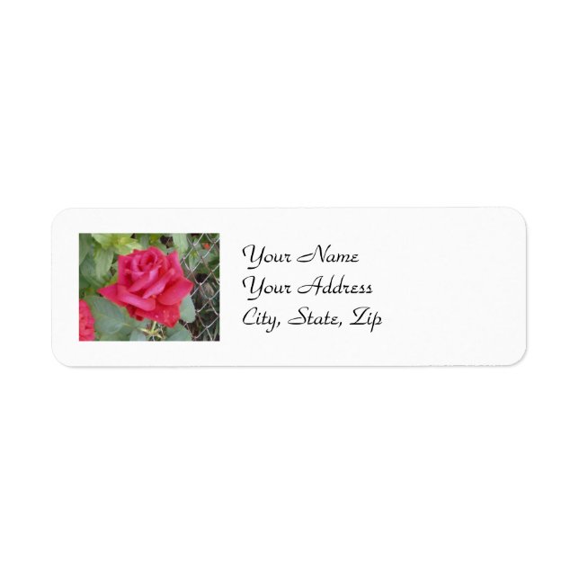 Red Rose Label (Front)